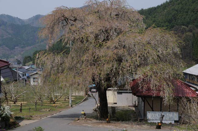 kurobe