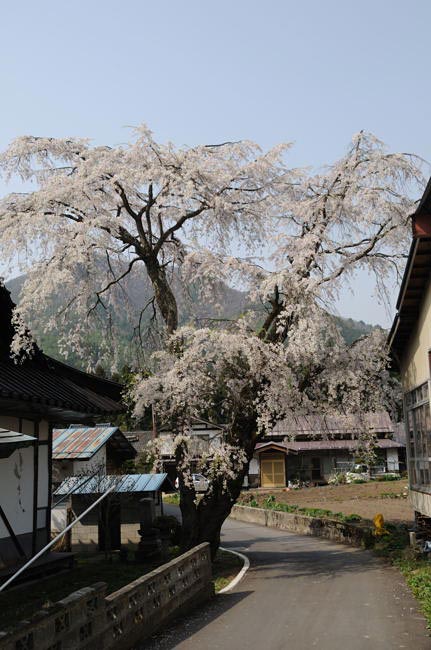 kurobe