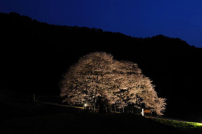 kurobe