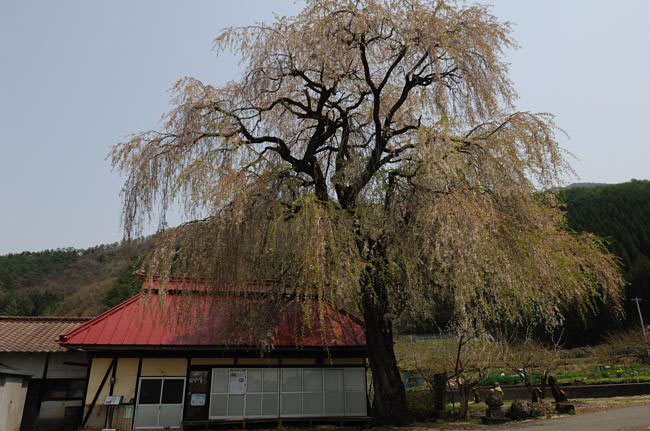 takayama