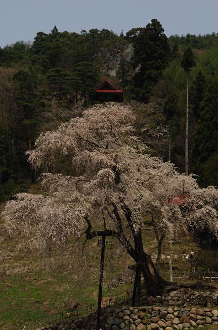 takayama