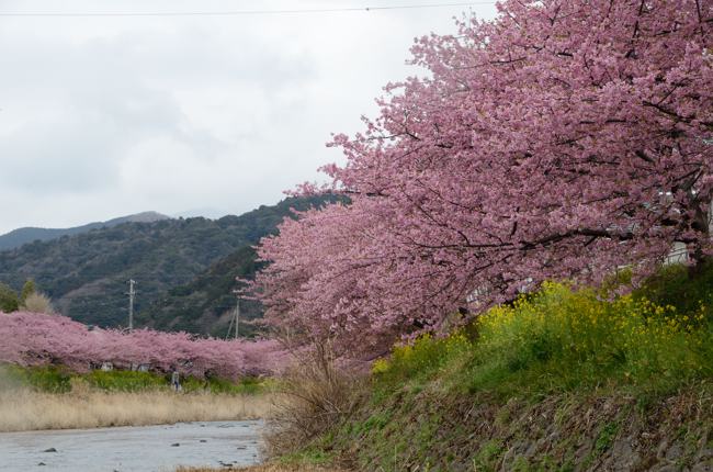 izu