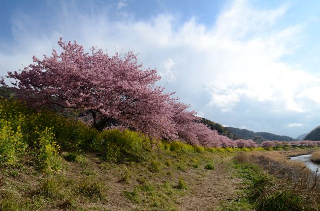 izu