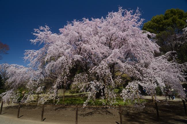 六義園