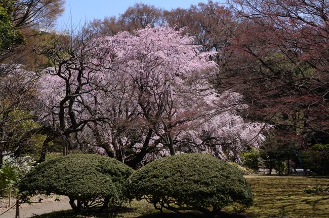 六義園