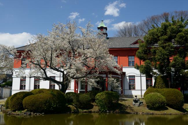 小石川植物園