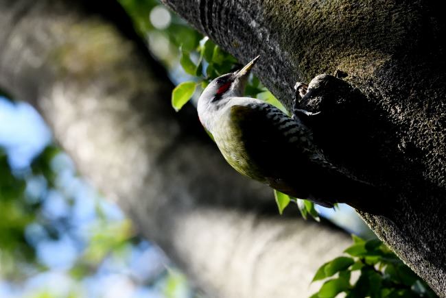 �A�I�Q��